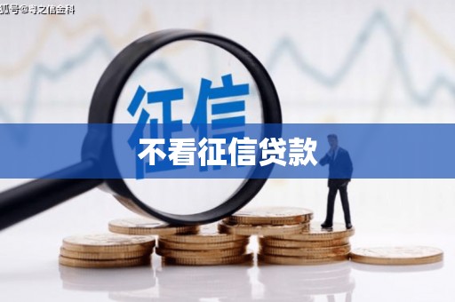 东乡不看征信贷款