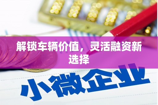 东乡解锁车辆价值，灵活融资新选择