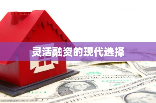 东乡灵活融资的现代选择