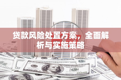 东乡贷款风险处置方案，全面解析与实施策略