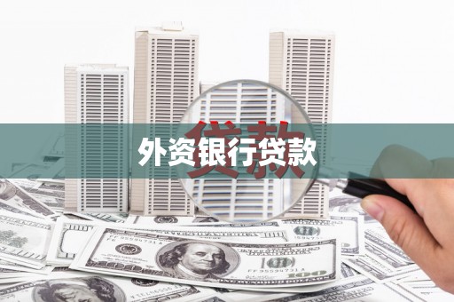 东乡外资银行贷款