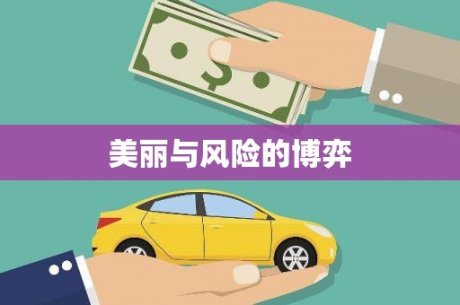 东乡美丽与风险的博弈