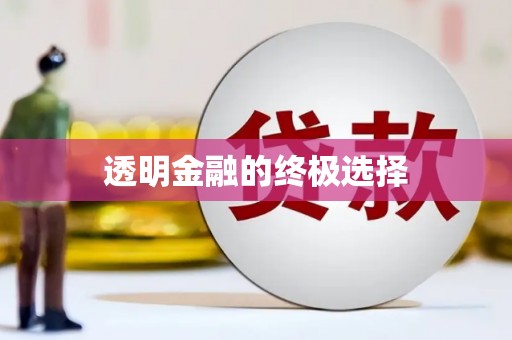 东乡透明金融的终极选择