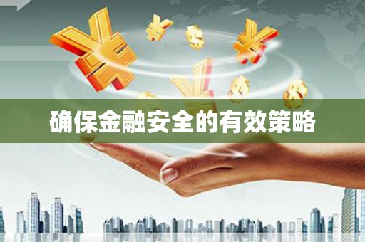 东乡确保金融安全的有效策略