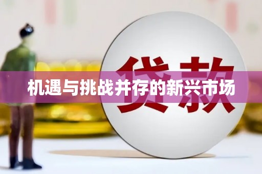 东乡机遇与挑战并存的新兴市场