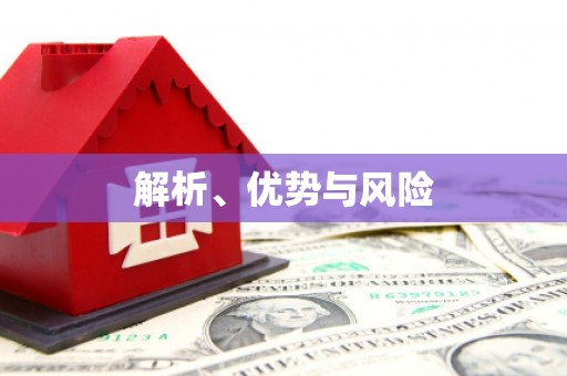东乡解析、优势与风险