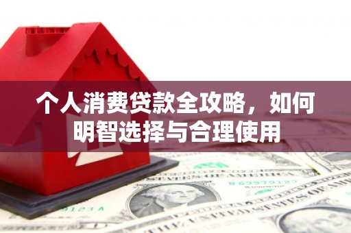 东乡个人消费贷款全攻略，如何明智选择与合理使用