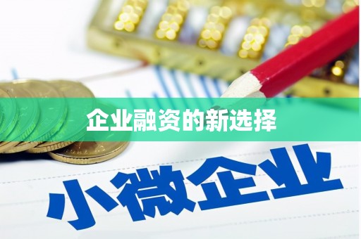 东乡企业融资的新选择
