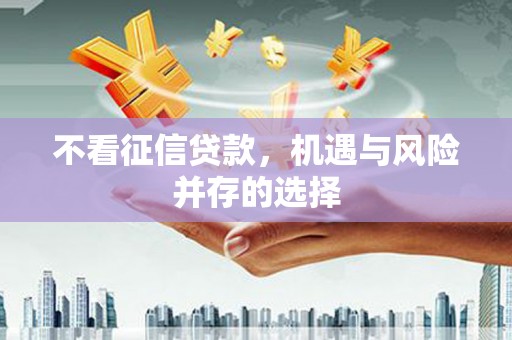 东乡不看征信贷款，机遇与风险并存的选择