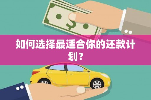 东乡如何选择最适合你的还款计划？